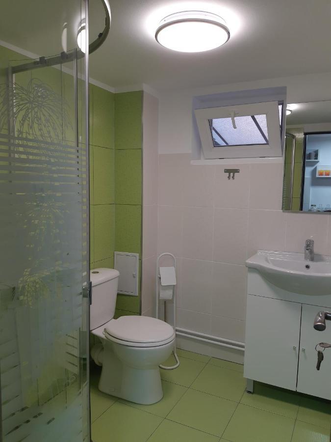 Apartament Magnolia Nearby City Center With Parking Sibiu Exterior photo